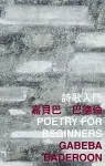 Poetry for Beginners cover