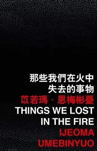 Things We Lost in the Fire cover