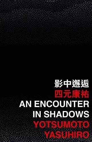 An Encounter in Shadows cover