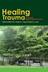 Healing Trauma – A Professional Guide cover