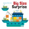 Big Size Surprise cover