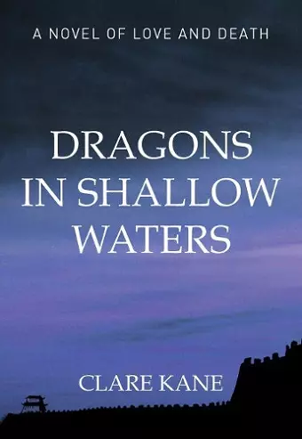Dragons in Shallow Waters cover