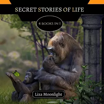 Secret Stories of Life cover