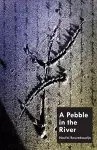 A Pebble In The River cover