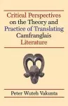 Critical Perspectives on the Theory and Practice of Translating Camfranglais Literature cover