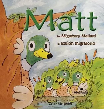 Matt cover