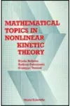 Mathematical Topics In Nonlinear Kinetic Theory cover