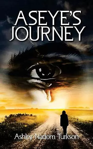 Aseye's Journey cover