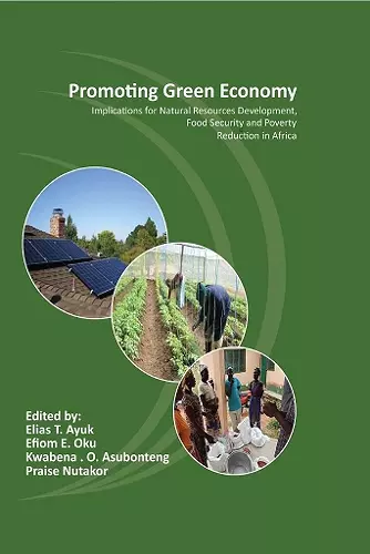 Promoting Green Economy cover