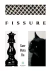 Fissure cover