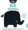 Big Animals packaging
