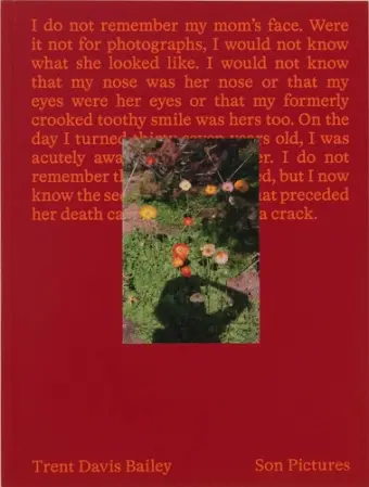 Son Pictures cover