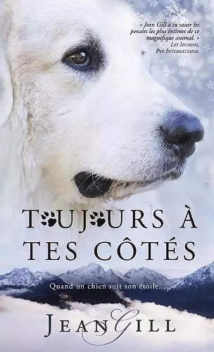 Toujours à tes côtés cover