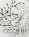 Loris Cecchini cover