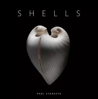 Shells cover