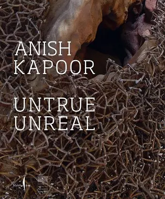 Anish Kapoor: Untrue Unreal cover