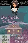 One Night in the Bayou cover