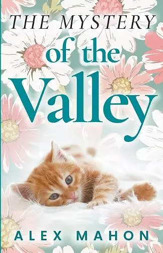 The Mystery Of The Valley cover