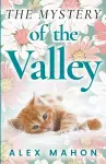 The Mystery Of The Valley cover