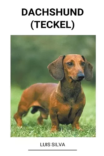 Dachshund (Teckel) cover