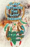 Sleep Between The Lost Dreams cover