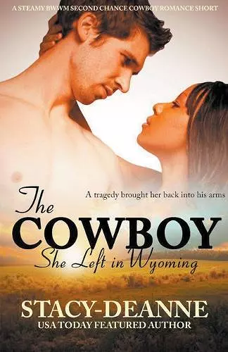 The Cowboy She Left in Wyoming cover