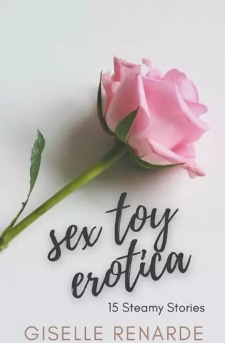 Sex Toy Erotica cover