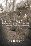 Lost Soul cover