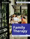 Mastering Competencies in Family Therapy: A Practical Approach to Theories and Clinical Case Documentation, Cengage International Edition cover