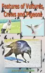 Features of Vultures, Crows and Pigeons cover