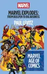 Marvel Explodes cover