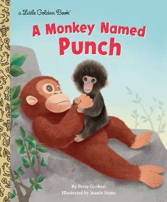 A Monkey Named Punch cover