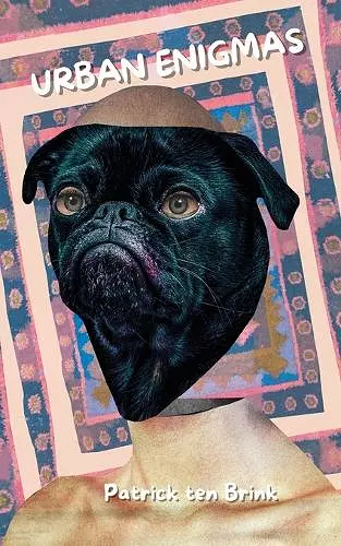 Urban Enigmas cover