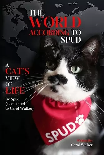 The World According to Spud cover