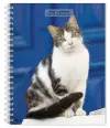 Cat Lovers 2027 6 X 7.75 Inch Spiral-Bound Wire-O Weekly Engagement Planner Calendar New Full-Color Image Every Week cover