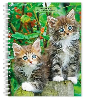 Kittens 2027 6 X 7.75 Inch Spiral-Bound Wire-O Weekly Engagement Planner Calendar New Full-Color Image Every Week cover