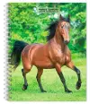 Horse Lovers 2027 6 X 7.75 Inch Spiral-Bound Wire-O Weekly Engagement Planner Calendar New Full-Color Image Every Week cover