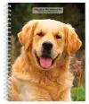 Golden Retrievers 2027 6 X 7.75 Inch Spiral-Bound Wire-O Weekly Engagement Planner Calendar New Full-Color Image Every Week cover