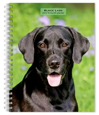 Black Labrador Retrievers | 2027 6 x 7.75 Inch Spiral-Bound Wire-O Weekly Engagement Planner Calendar | New Full-Color Image Every Week | BrownTrout | Animals Dog Breeds cover