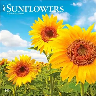 Sunflowers 2027 12 X 24 Inch (Hanging) Monthly Square Wall Calendar Plastic-Free cover
