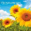 Sunflowers 2027 12 X 24 Inch (Hanging) Monthly Square Wall Calendar Plastic-Free cover