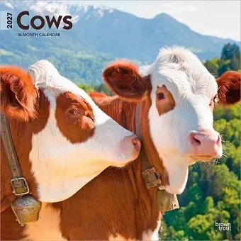 Cows 2027 12 X 24 Inch (Hanging) Monthly Square Wall Calendar Plastic-Free cover
