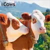 Cows 2027 12 X 24 Inch (Hanging) Monthly Square Wall Calendar Plastic-Free cover