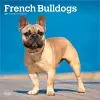 French Bulldogs 2027 12 X 24 Inch (Hanging) Monthly Square Wall Calendar Plastic-Free cover