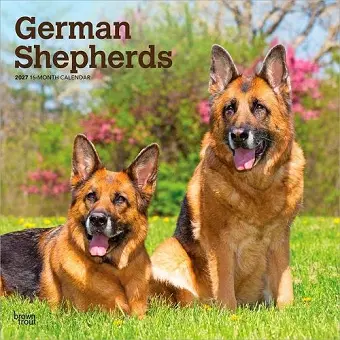 German Shepherds 2027 12 X 24 Inch (Hanging) Monthly Square Wall Calendar Plastic-Free cover