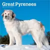 Great Pyrenees 2027 12 X 24 Inch (Hanging) Monthly Square Wall Calendar Plastic-Free cover