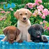 Labrador Retriever Puppies 2027 12 X 24 Inch (Hanging) Monthly Square Wall Calendar Plastic-Free cover