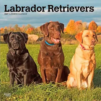 Labrador Retrievers 2027 12 X 24 Inch (Hanging) Monthly Square Wall Calendar Plastic-Free cover