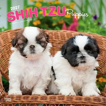 Shih Tzu Puppies 2027 12 X 24 Inch (Hanging) Monthly Square Wall Calendar Plastic-Free cover