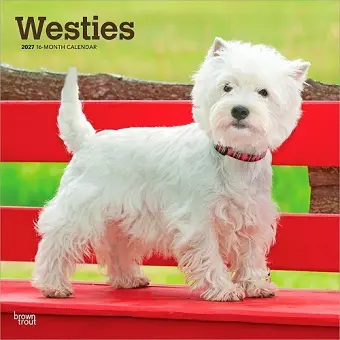 West Highland White Terriers 2027 12 X 24 Inch (Hanging) Monthly Square Wall Calendar Plastic-Free cover